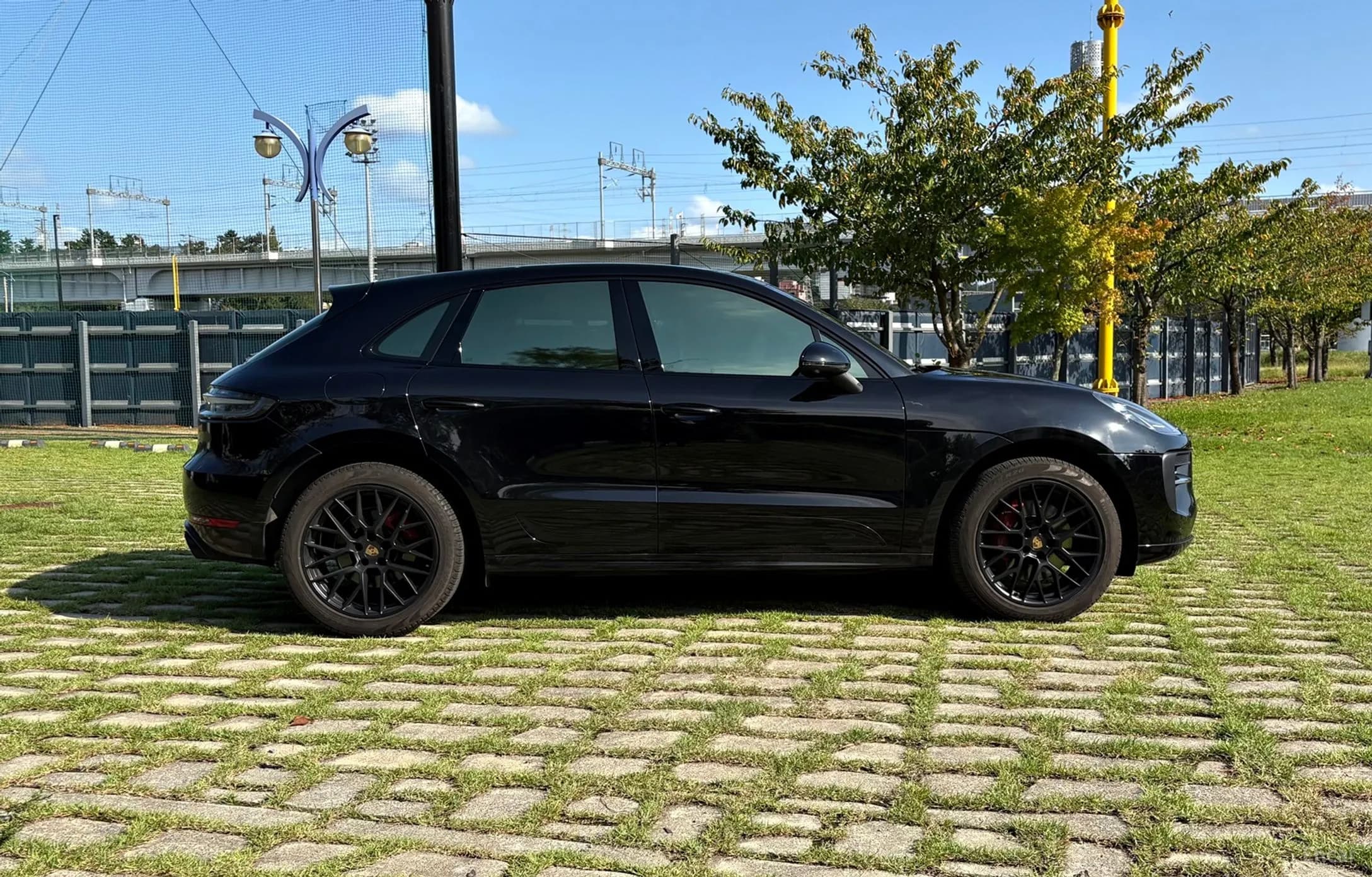 Macan