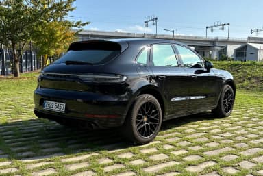 Macan