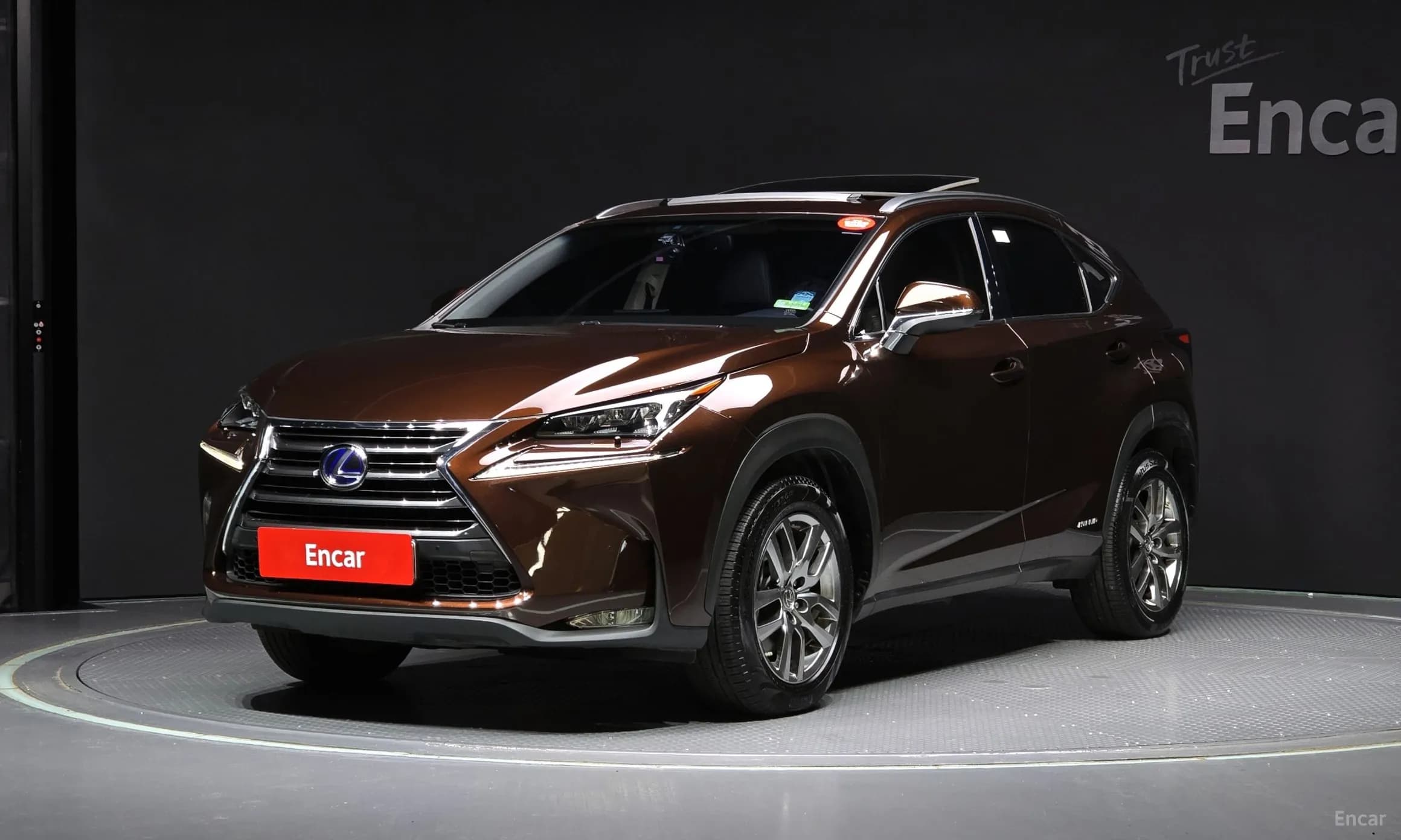 NX300h