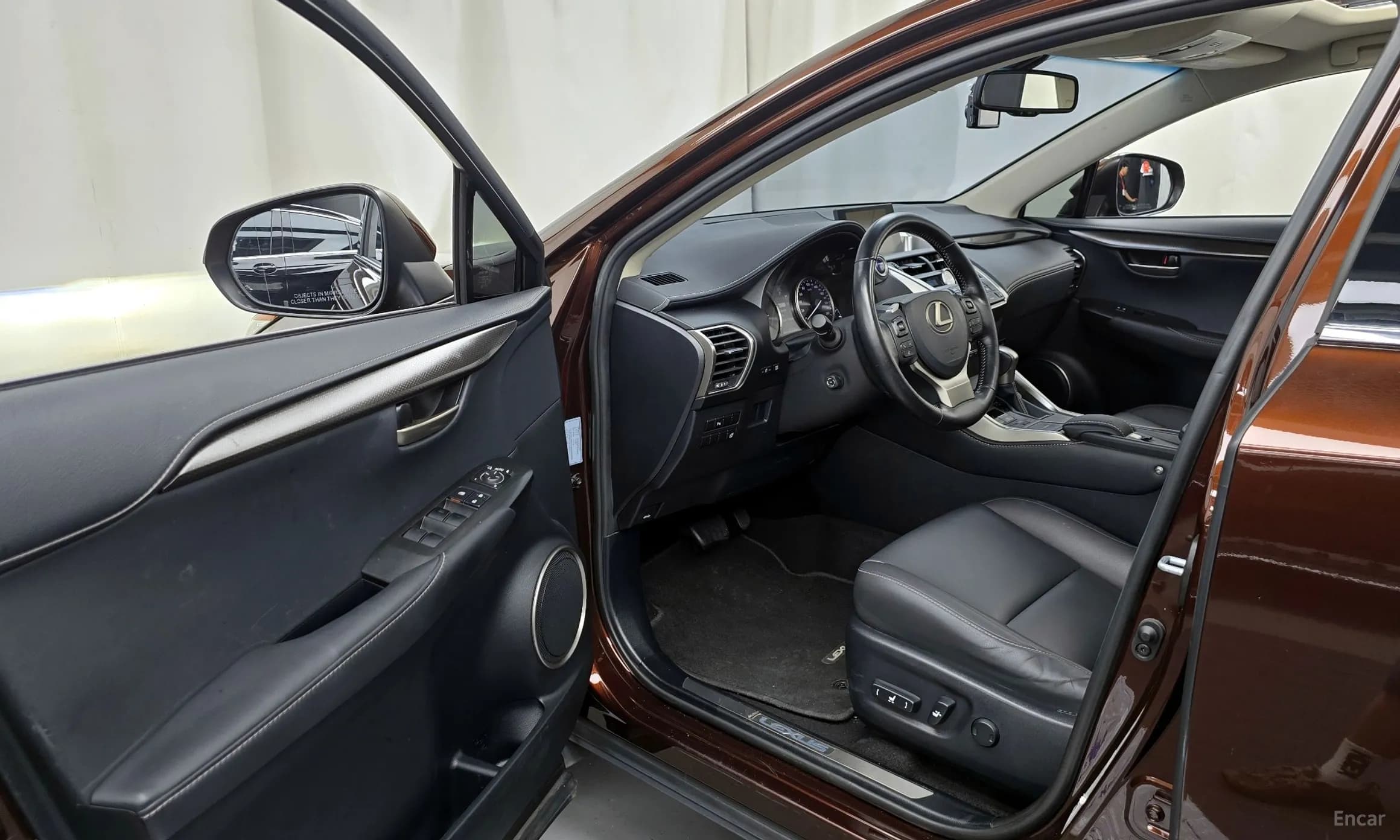 NX300h