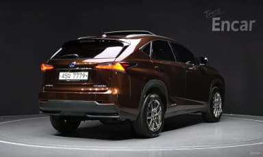 NX300h