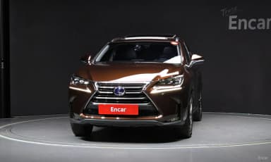 NX300h