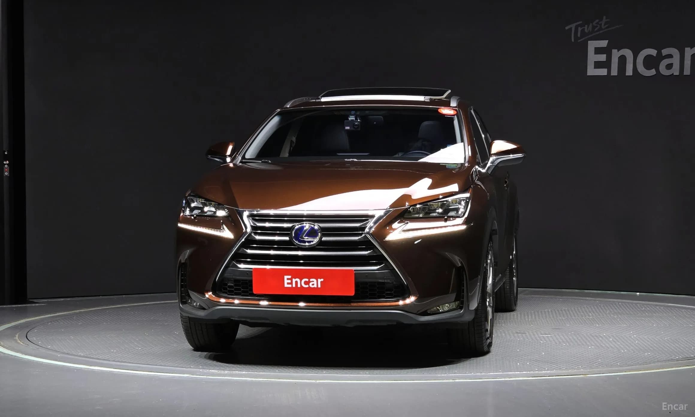 NX300h