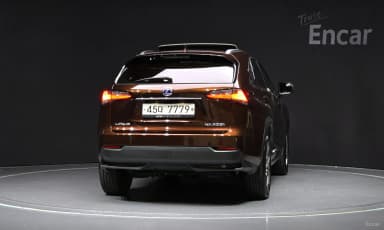 NX300h