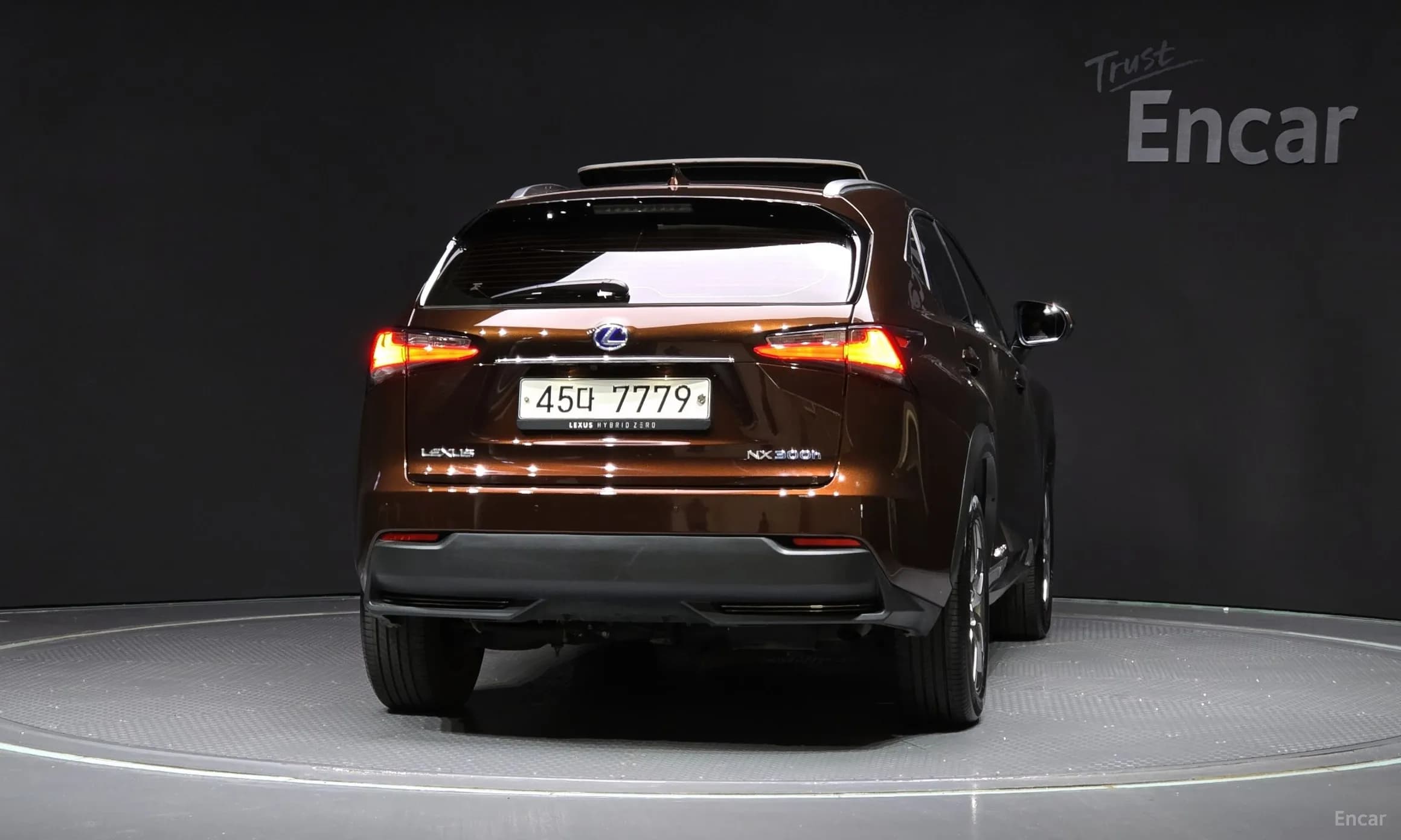 NX300h