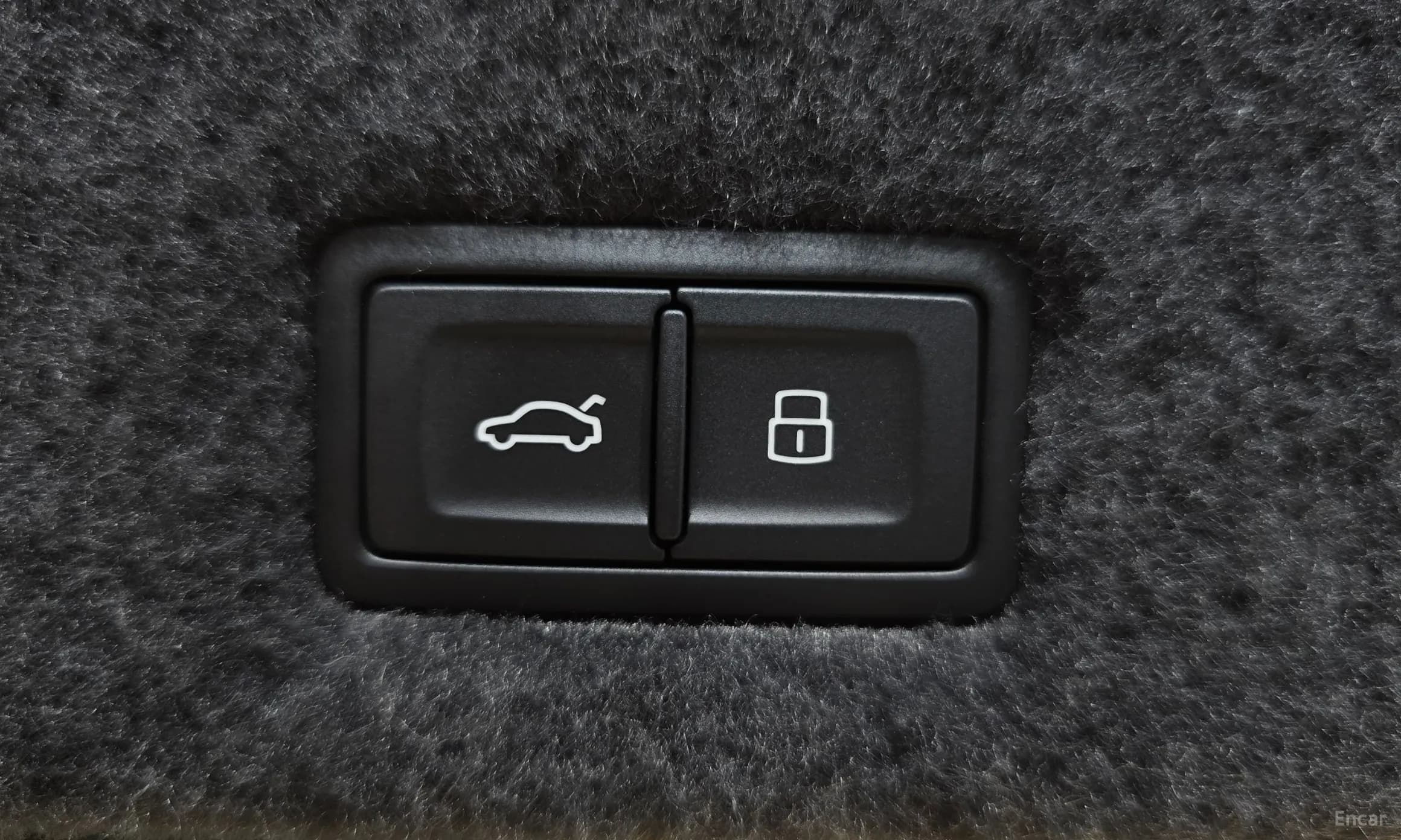 Urus