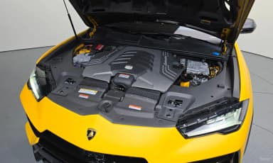 Urus