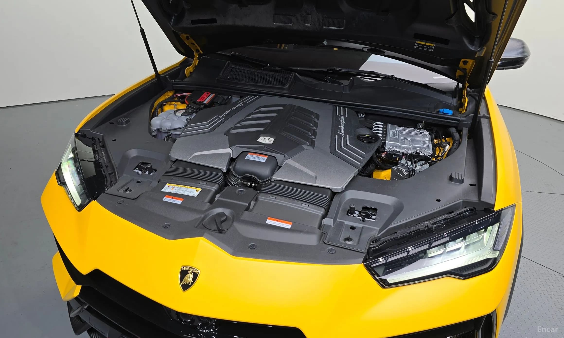 Urus
