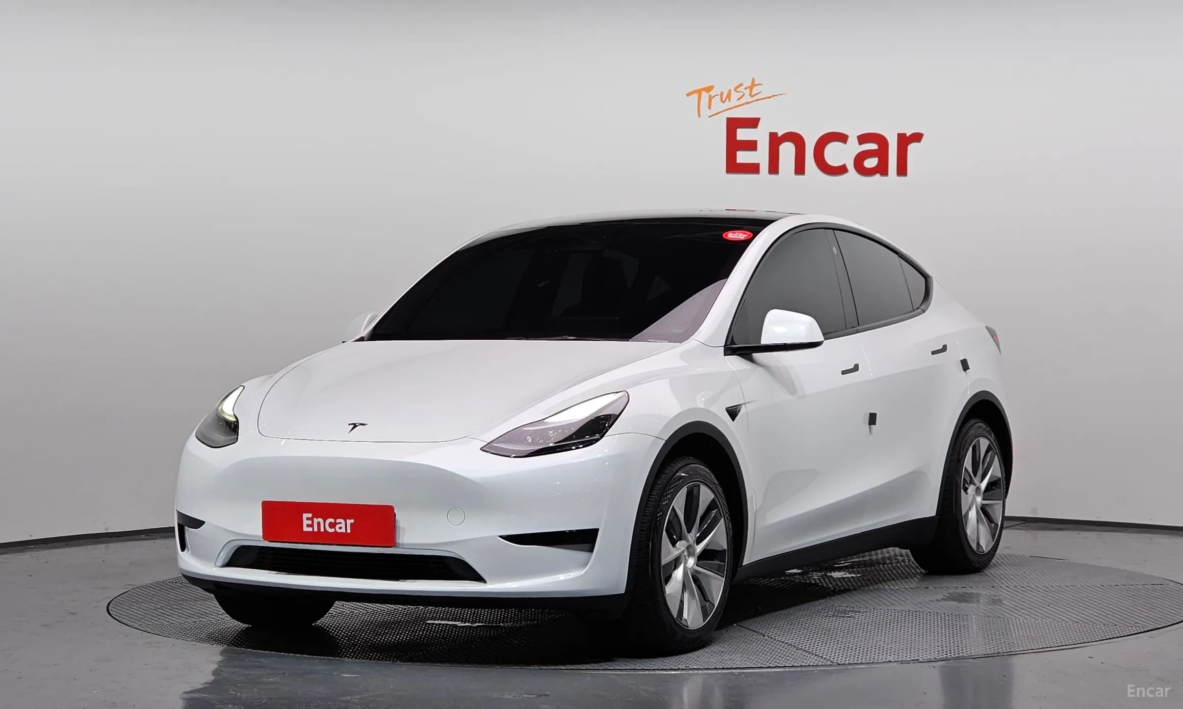 Model Y