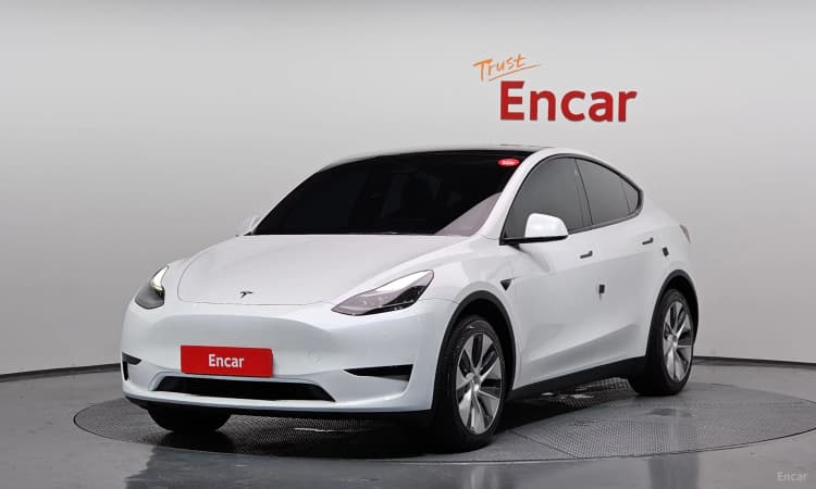 Model Y