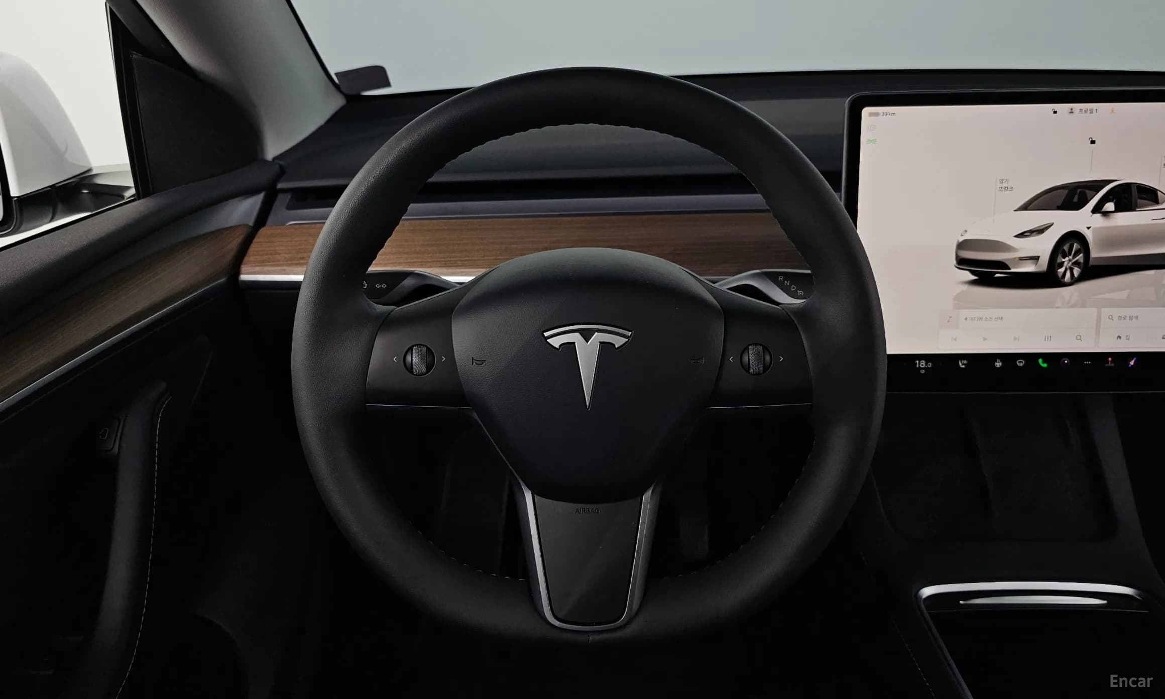 Model Y