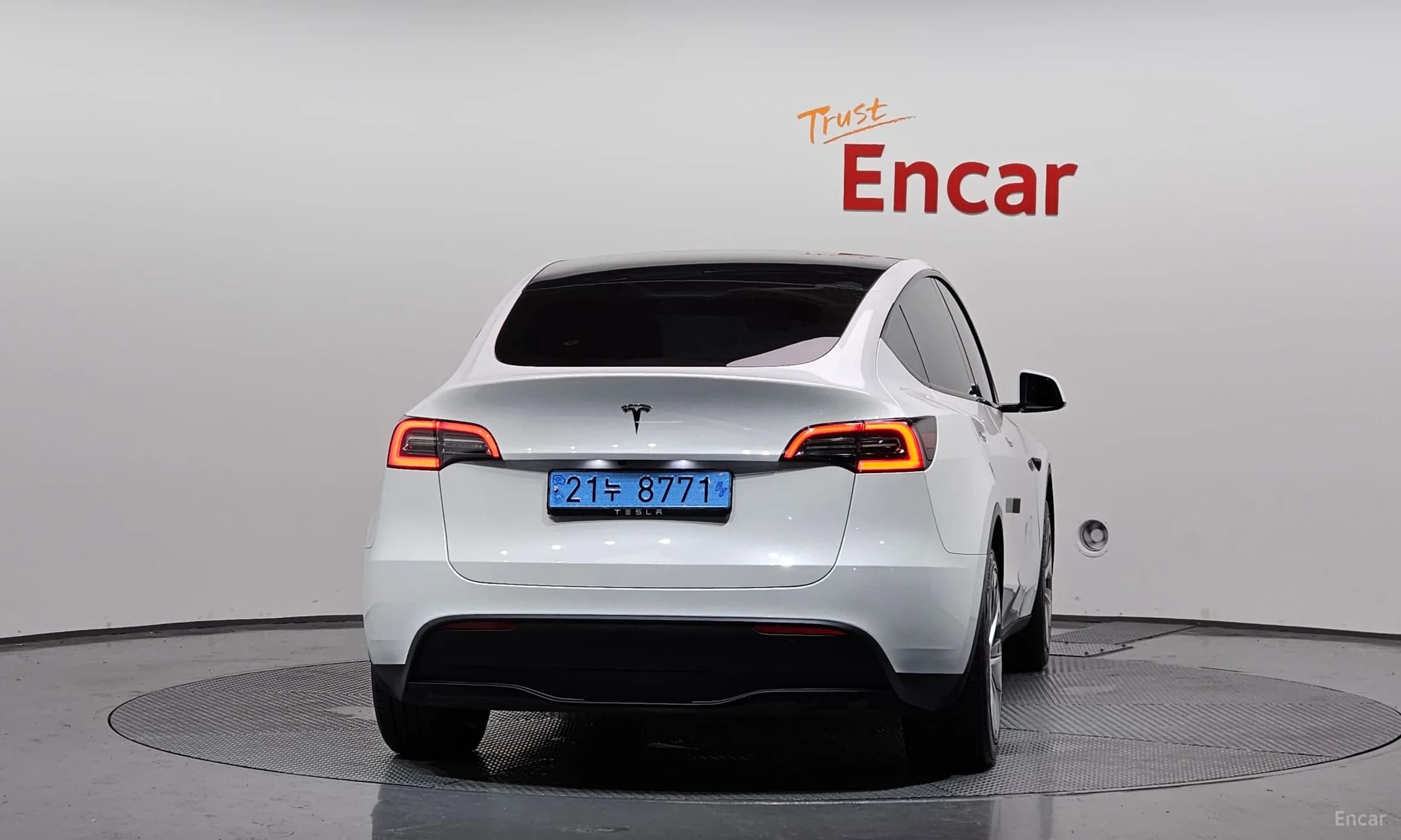 Model Y
