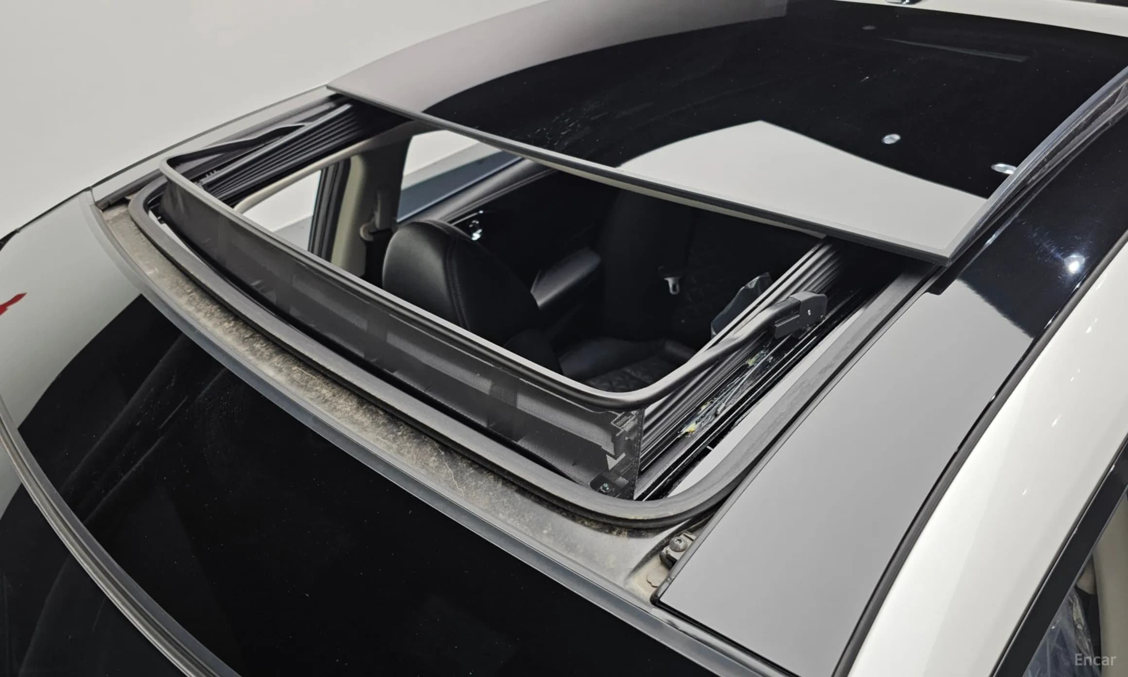 Maxima (A36)