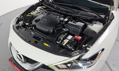 Maxima (A36)
