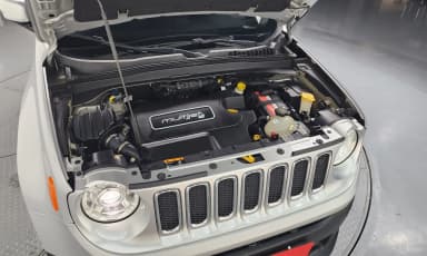 Renegade