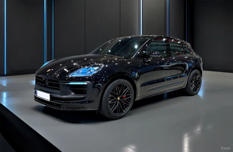 Macan