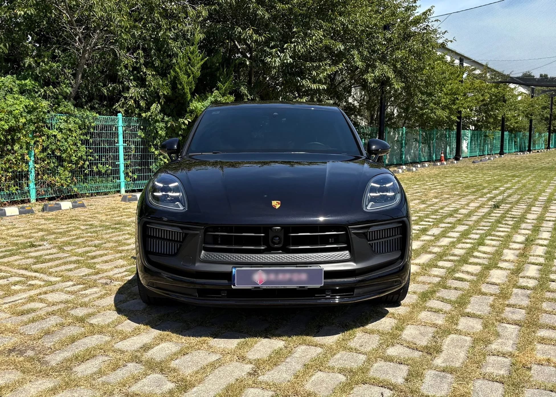 Macan