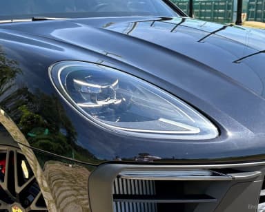 Macan