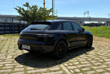 Macan