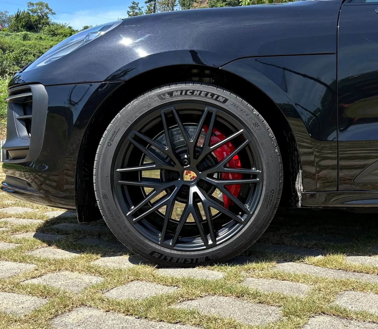 Macan