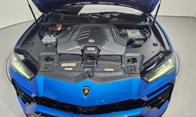 Urus
