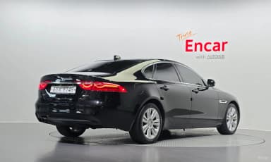 XF (x260)