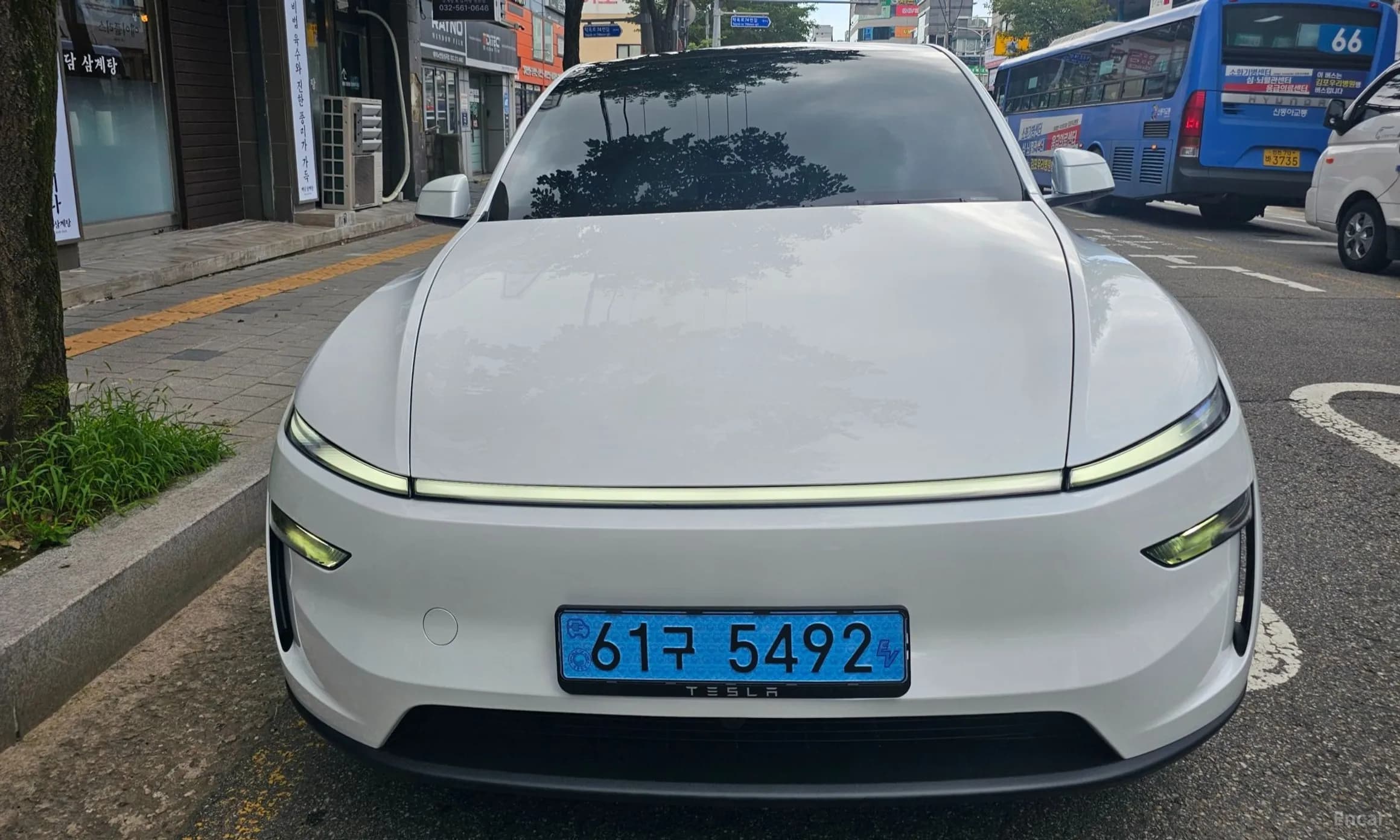 Model Y