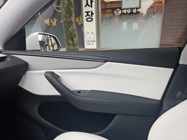 Model Y