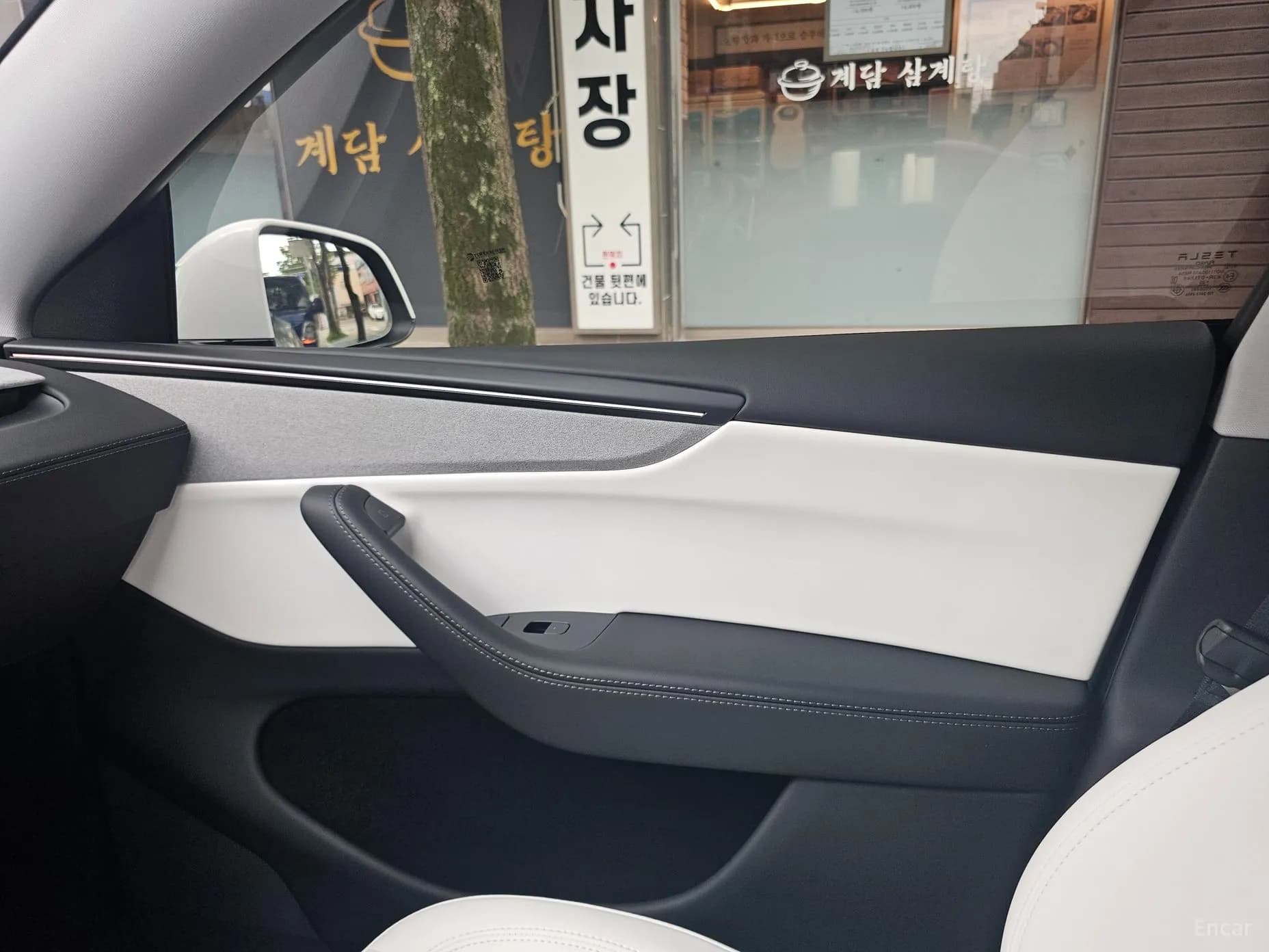 Model Y