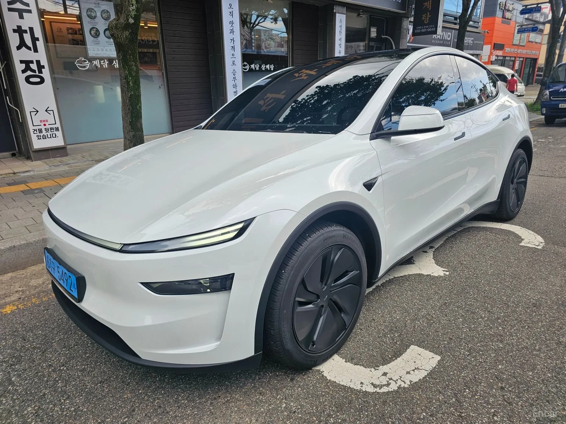 Model Y