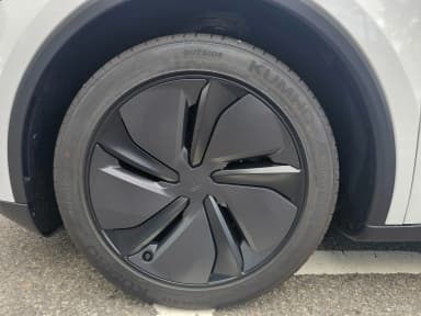 Model Y