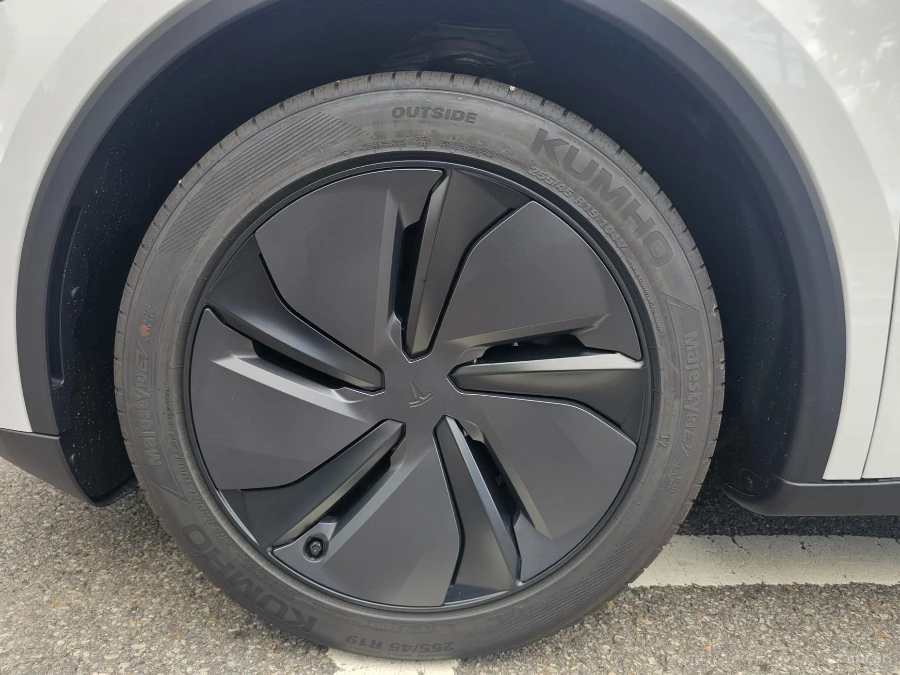 Model Y
