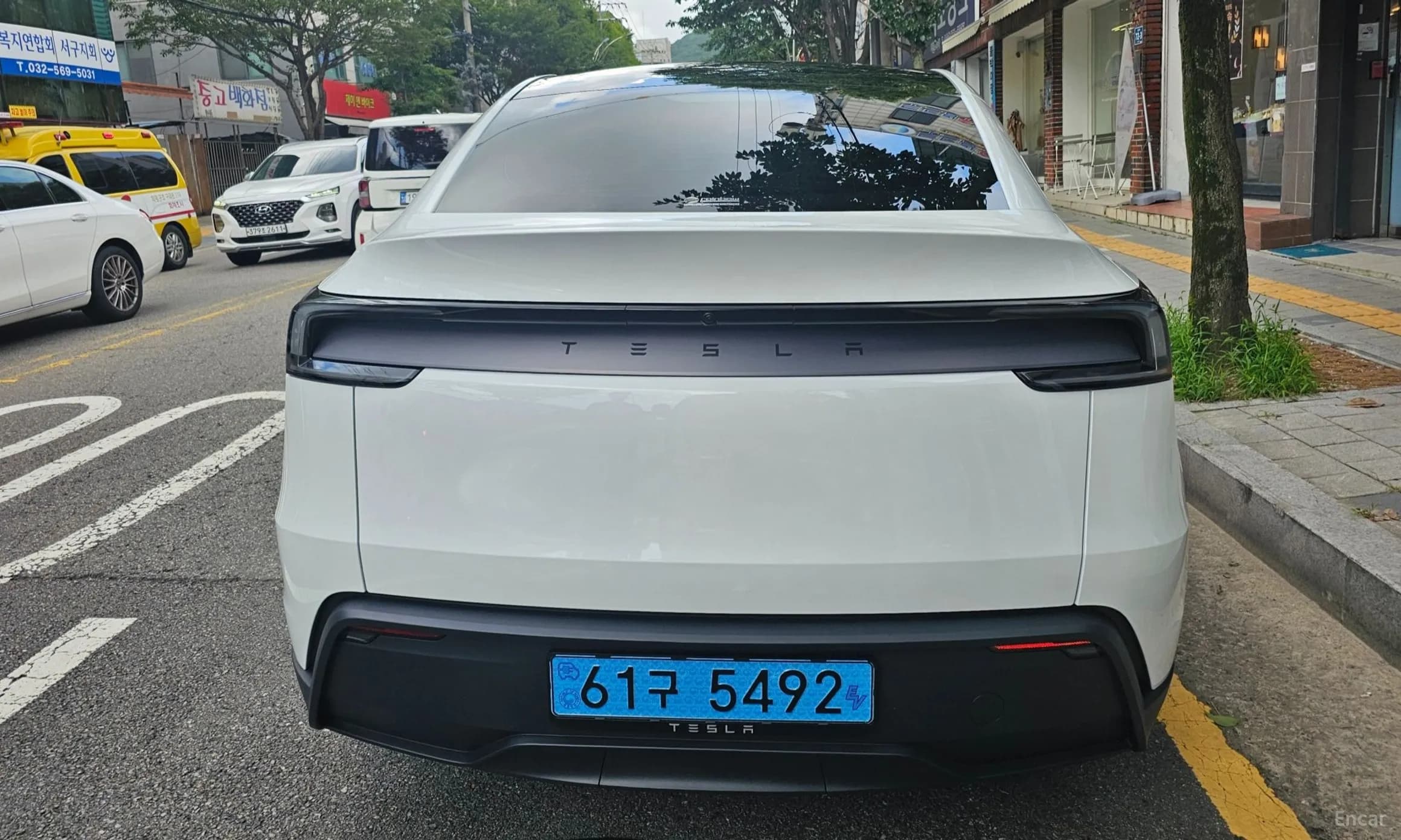 Model Y