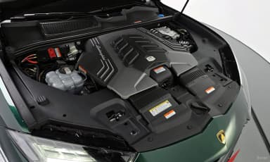 Urus