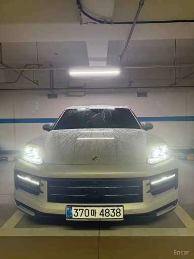 Cayenne (PO536)