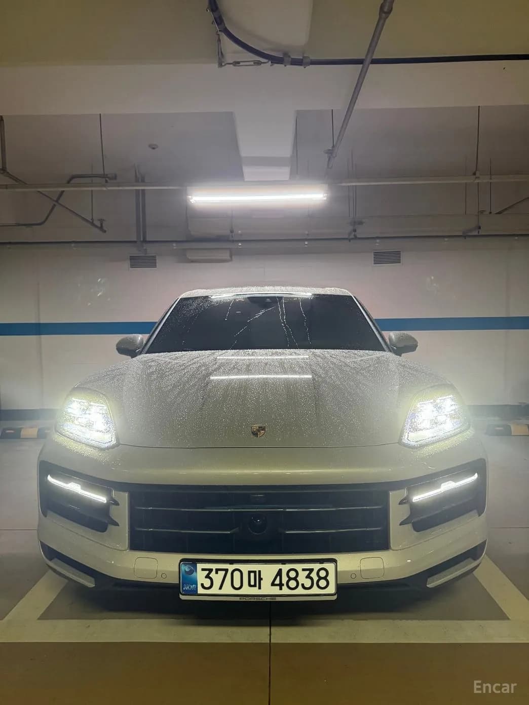 Cayenne (PO536)
