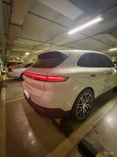 Cayenne (PO536)
