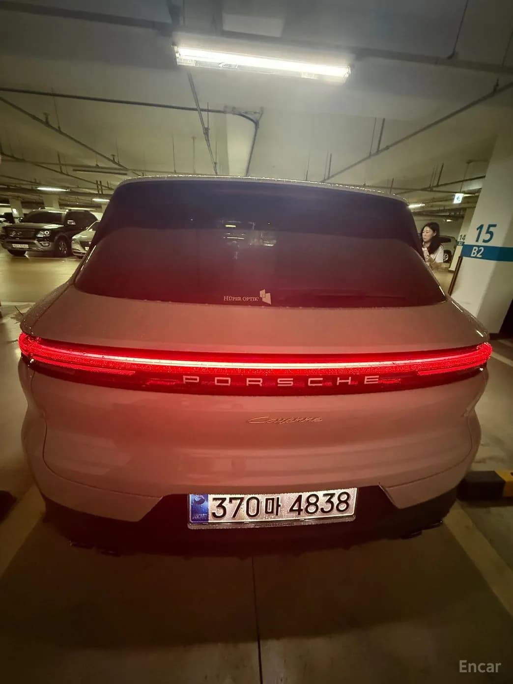 Cayenne (PO536)