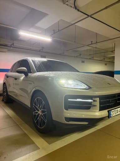Cayenne (PO536)