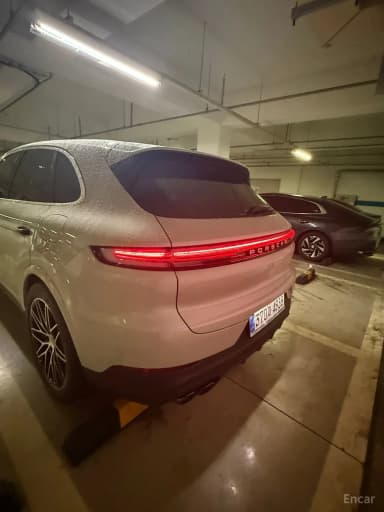 Cayenne (PO536)