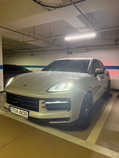 Cayenne (PO536)