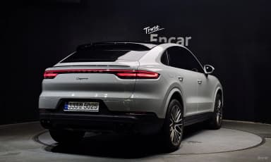 Cayenne (PO536)