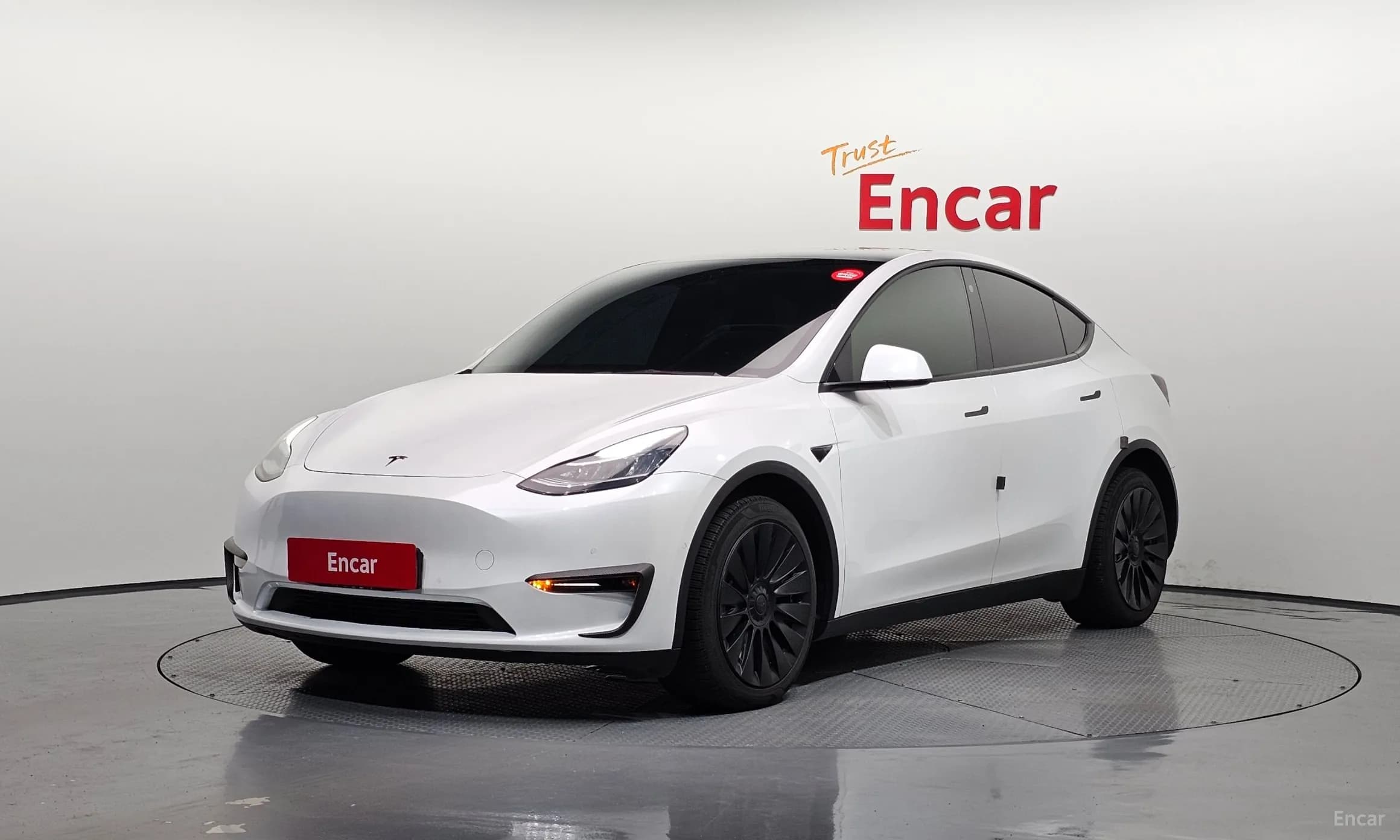Model Y