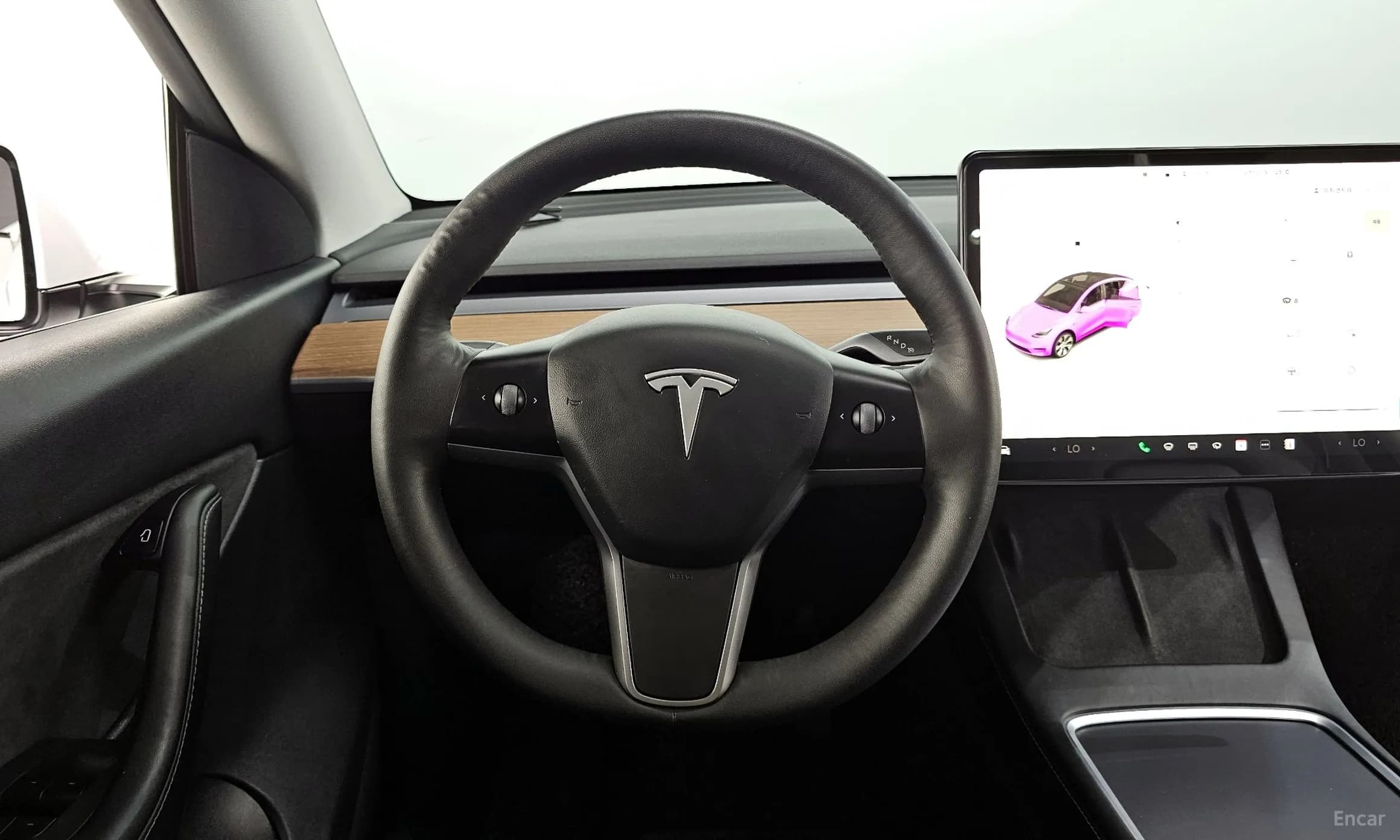 Model Y