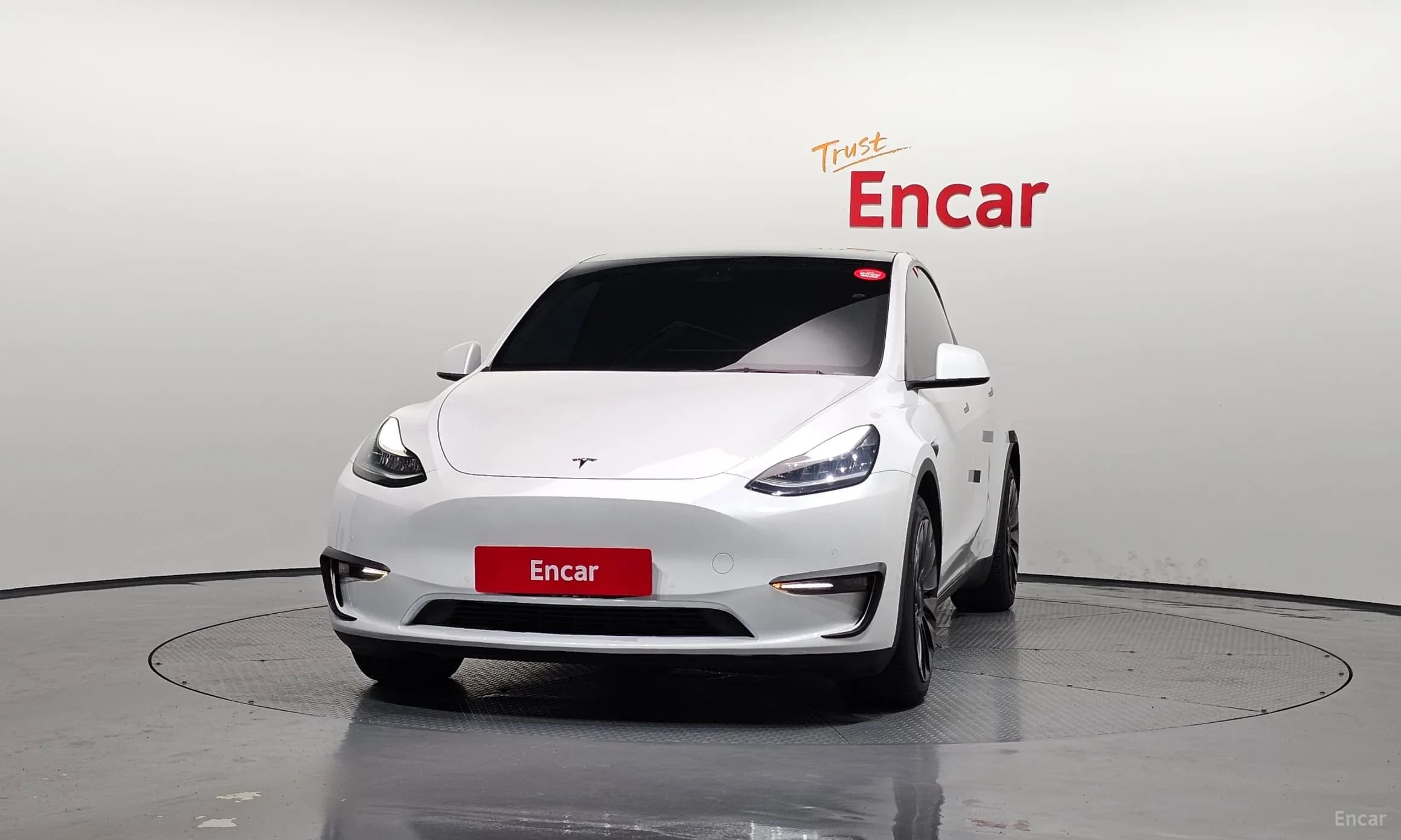 Model Y