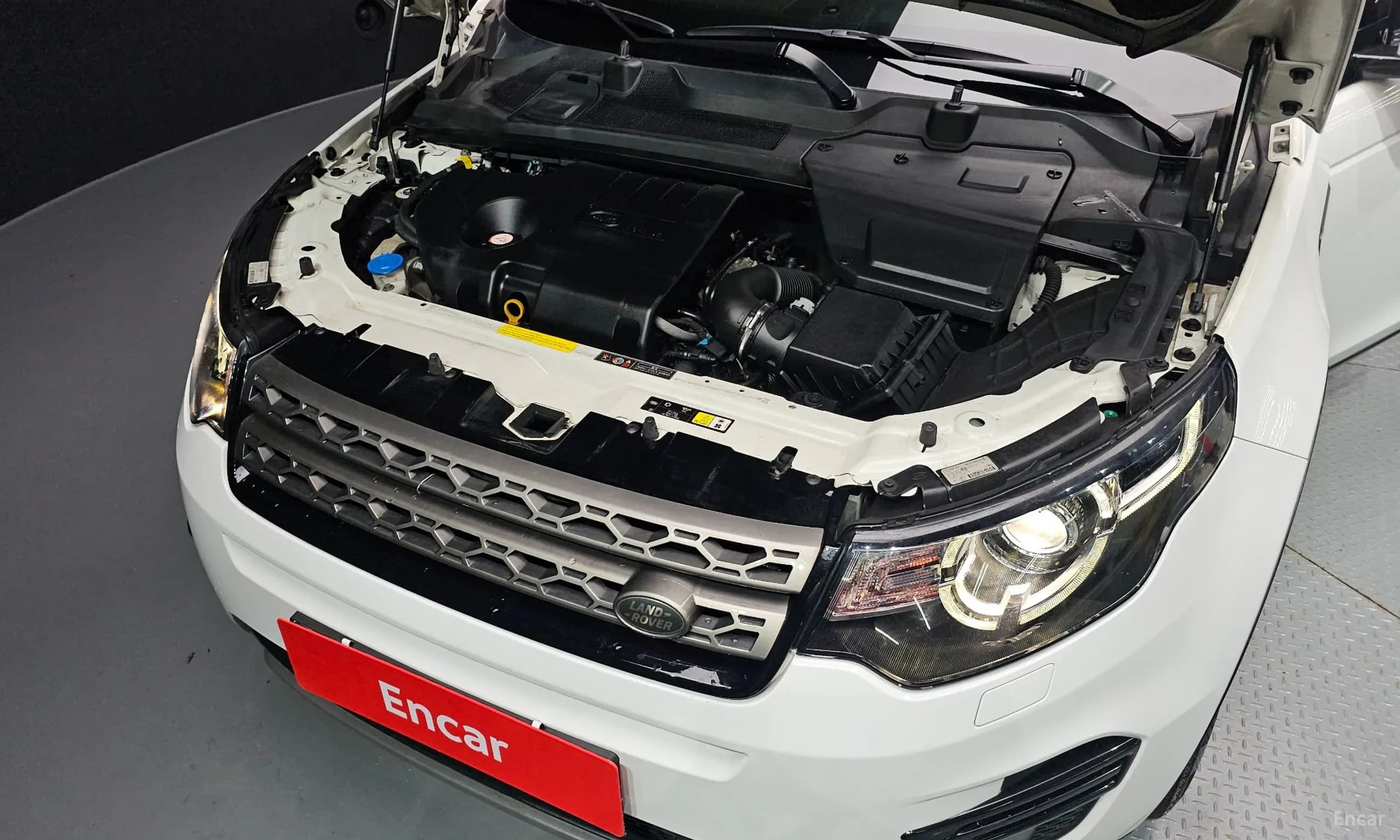 Discovery Sports