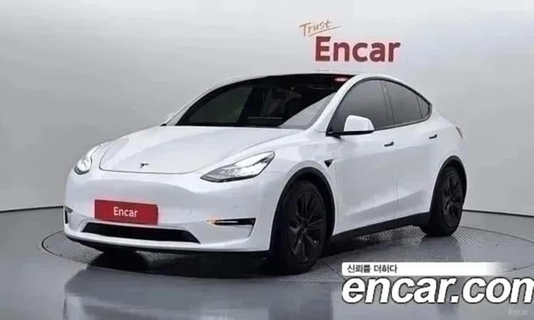 Model Y