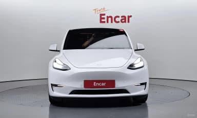 Model Y