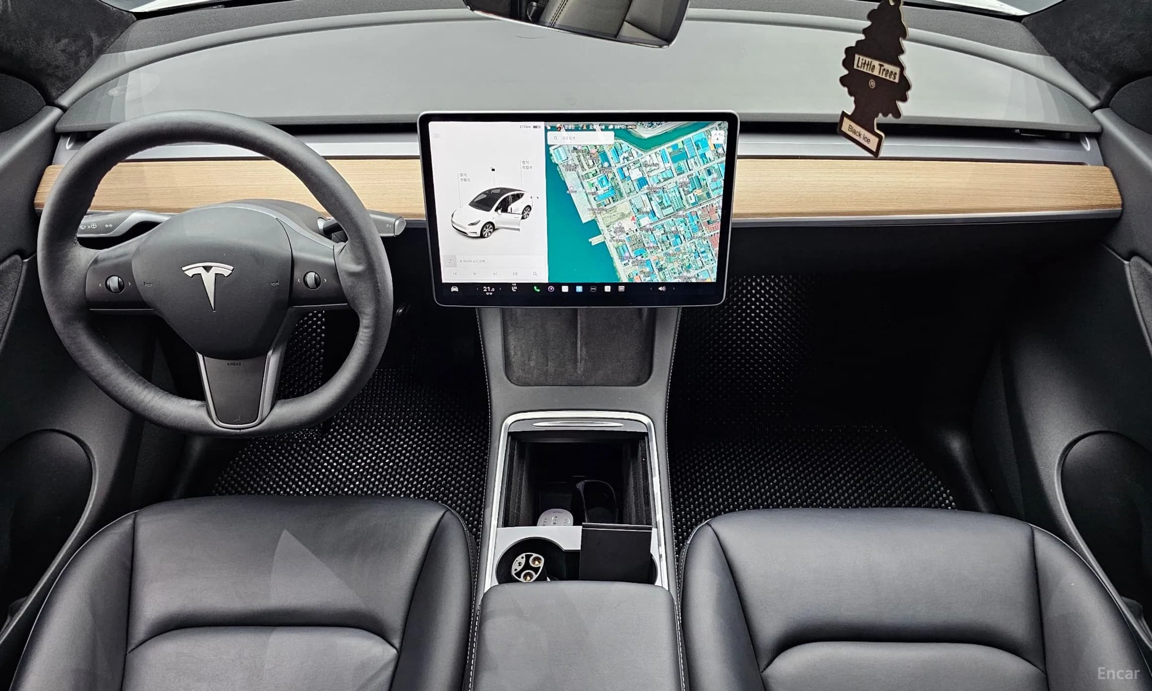 Model Y