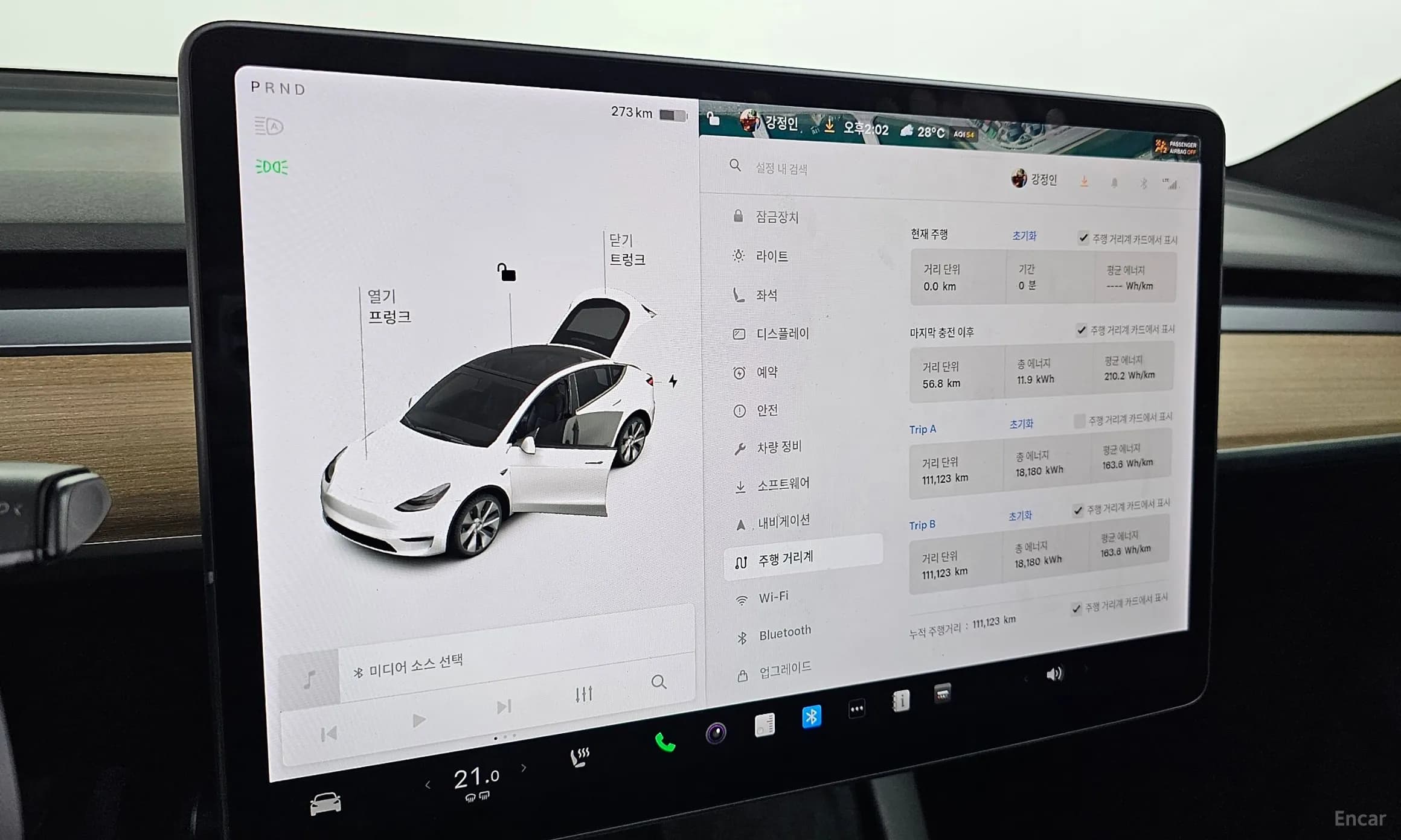 Model Y